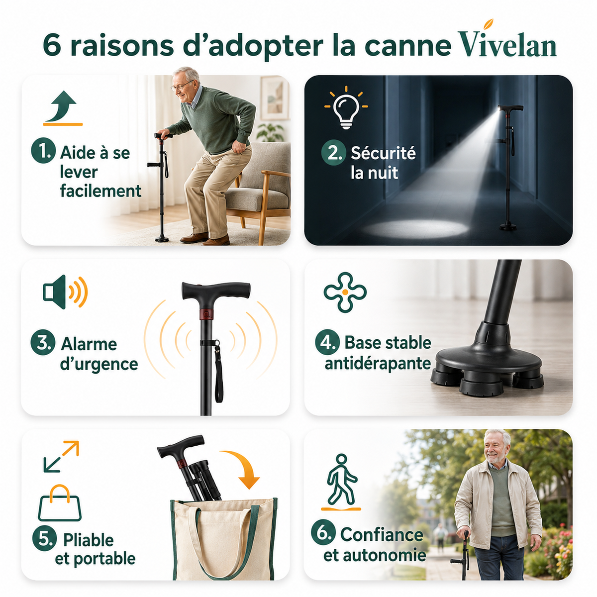 La canne d'appui Vivélan
