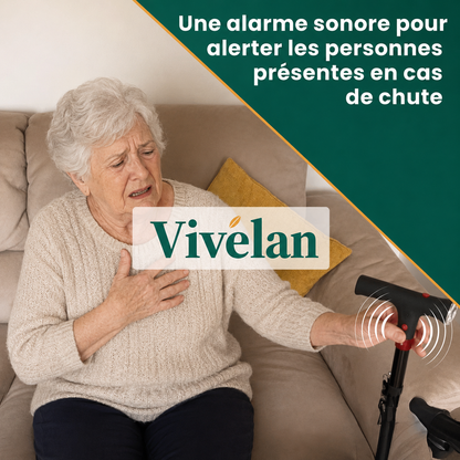 La canne d'appui Vivélan