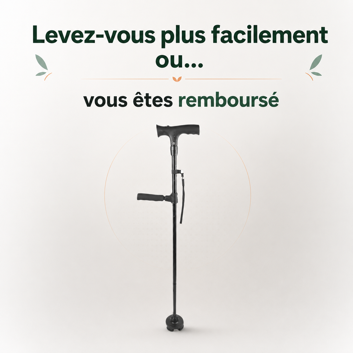 La canne d'appui Vivélan